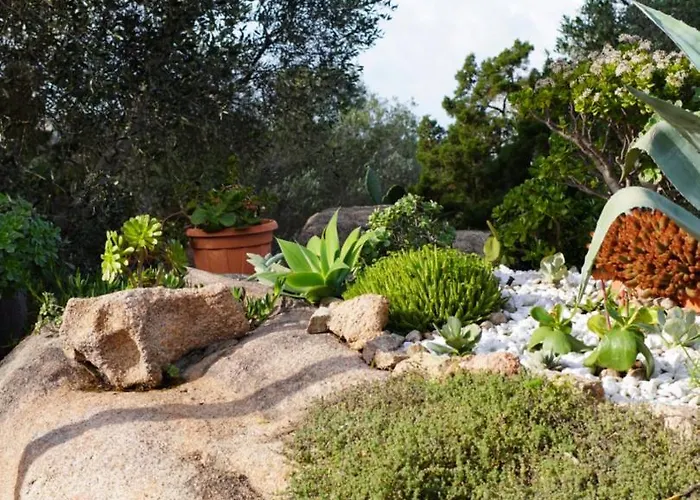 L'Olivastro Appartamenti A Porto Cervo